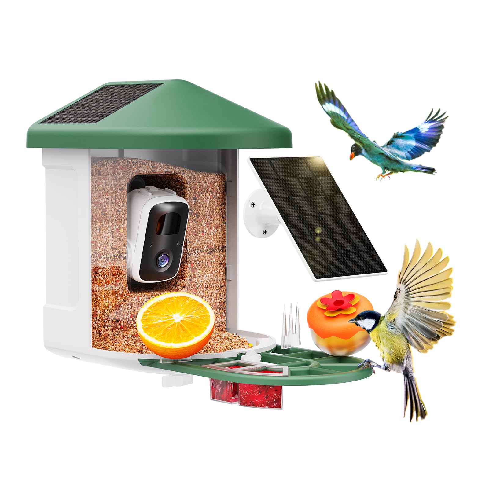 Smart bird feeder with camera