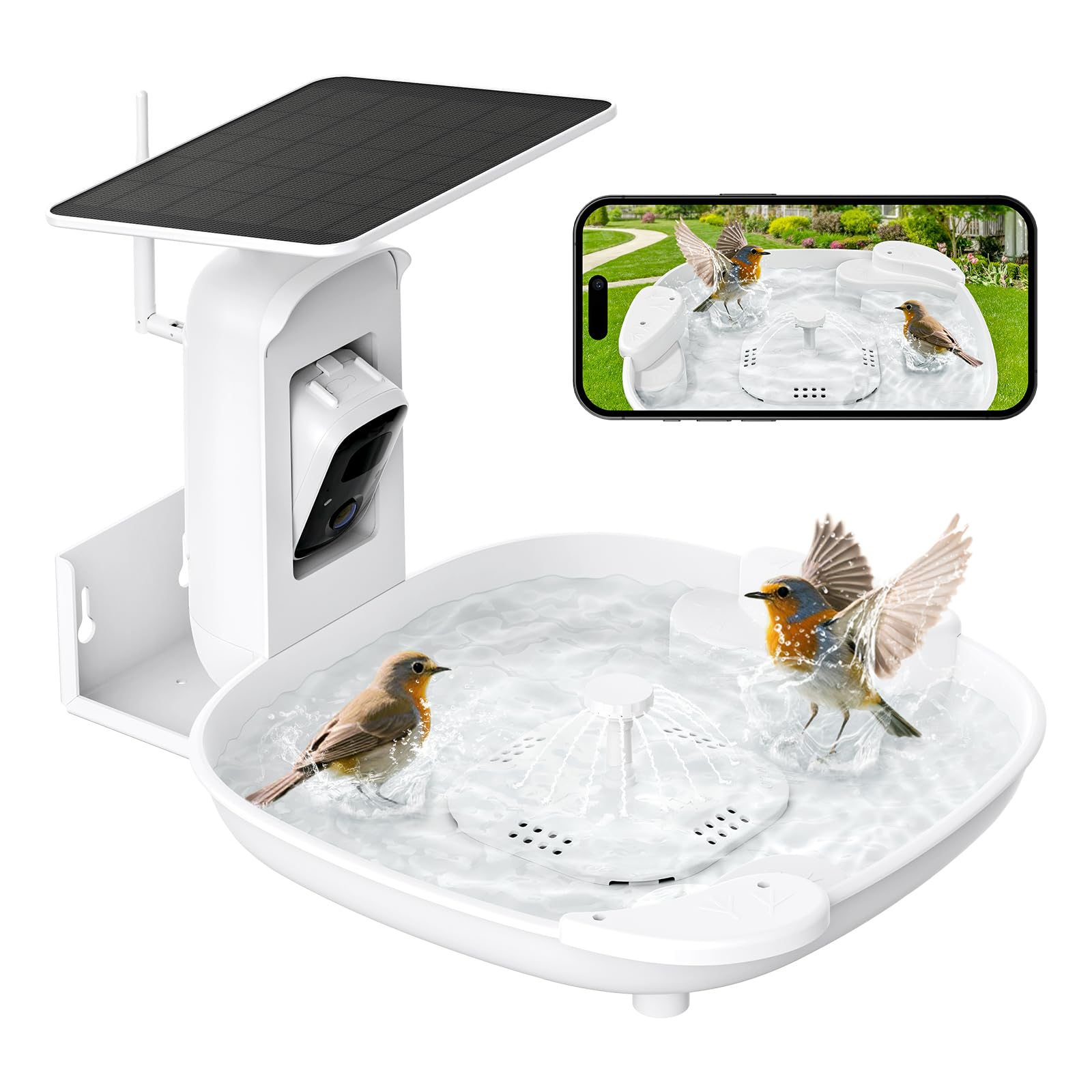 Smart bird bath with camera